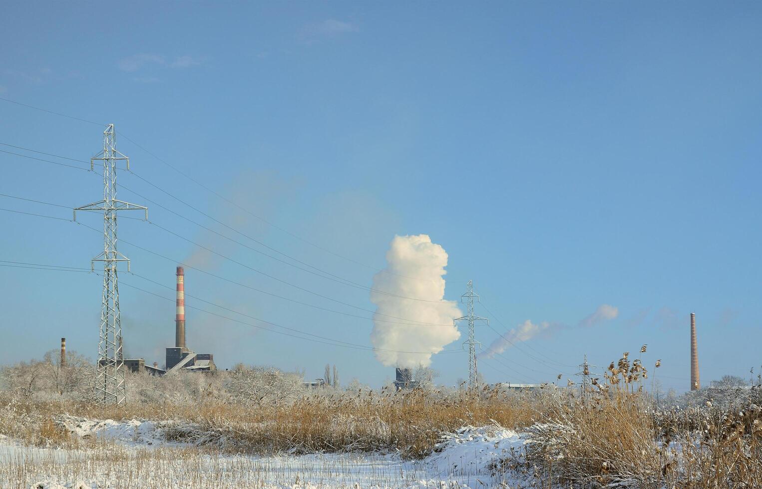 The industrial plant is located behind the swampy terrain, covered with snow. Large field of yellow bulrushes photo