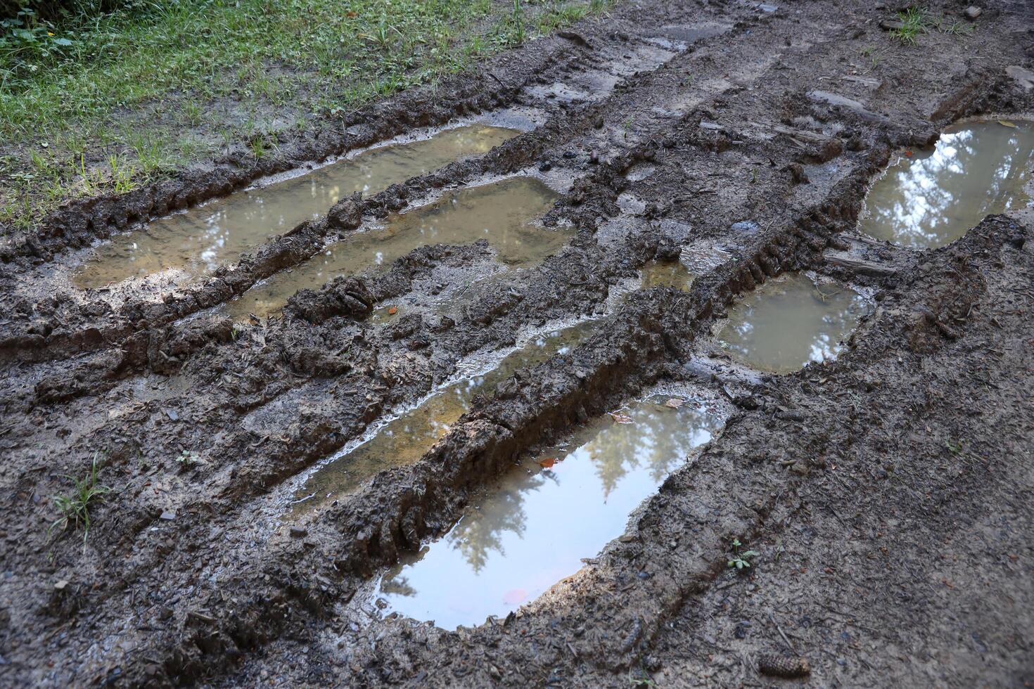 Muddy tracks with puddles on wet muddy surface in forest path photo