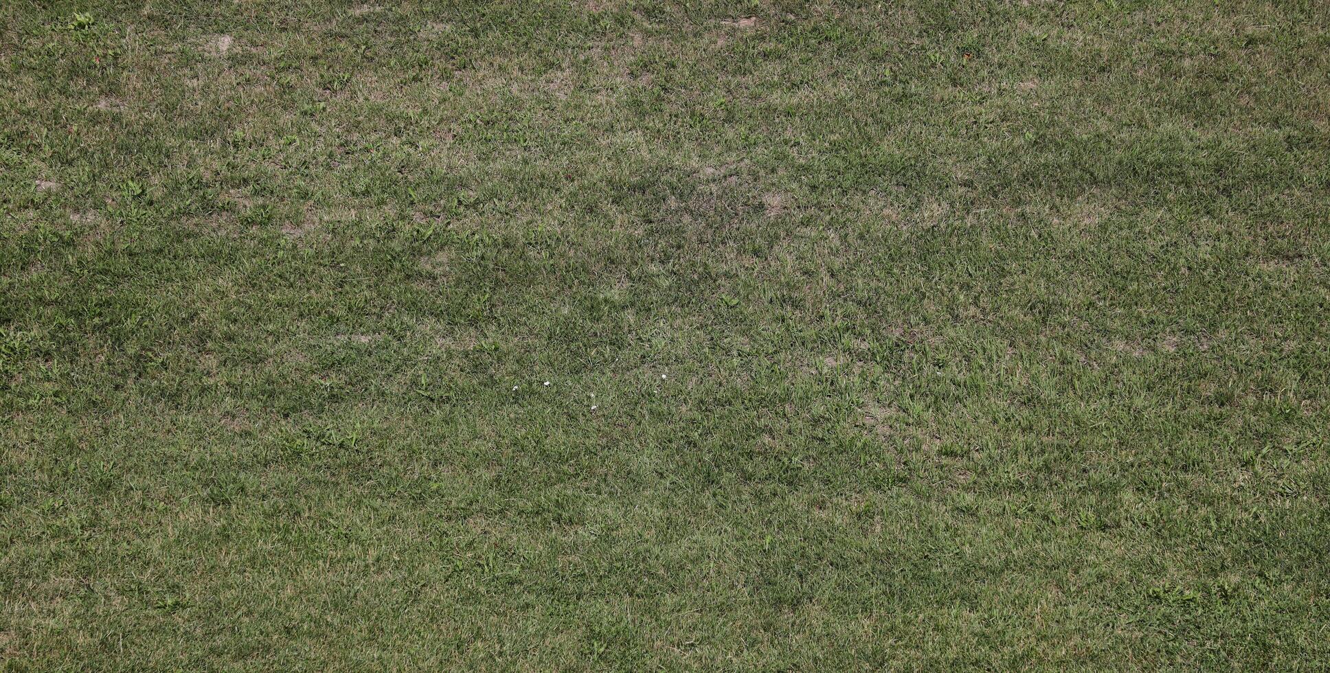 View from above of a green grassy area used as a sports field for activities like golf baseball soccer or football. Background of a lawn carpet and a natural texture photo