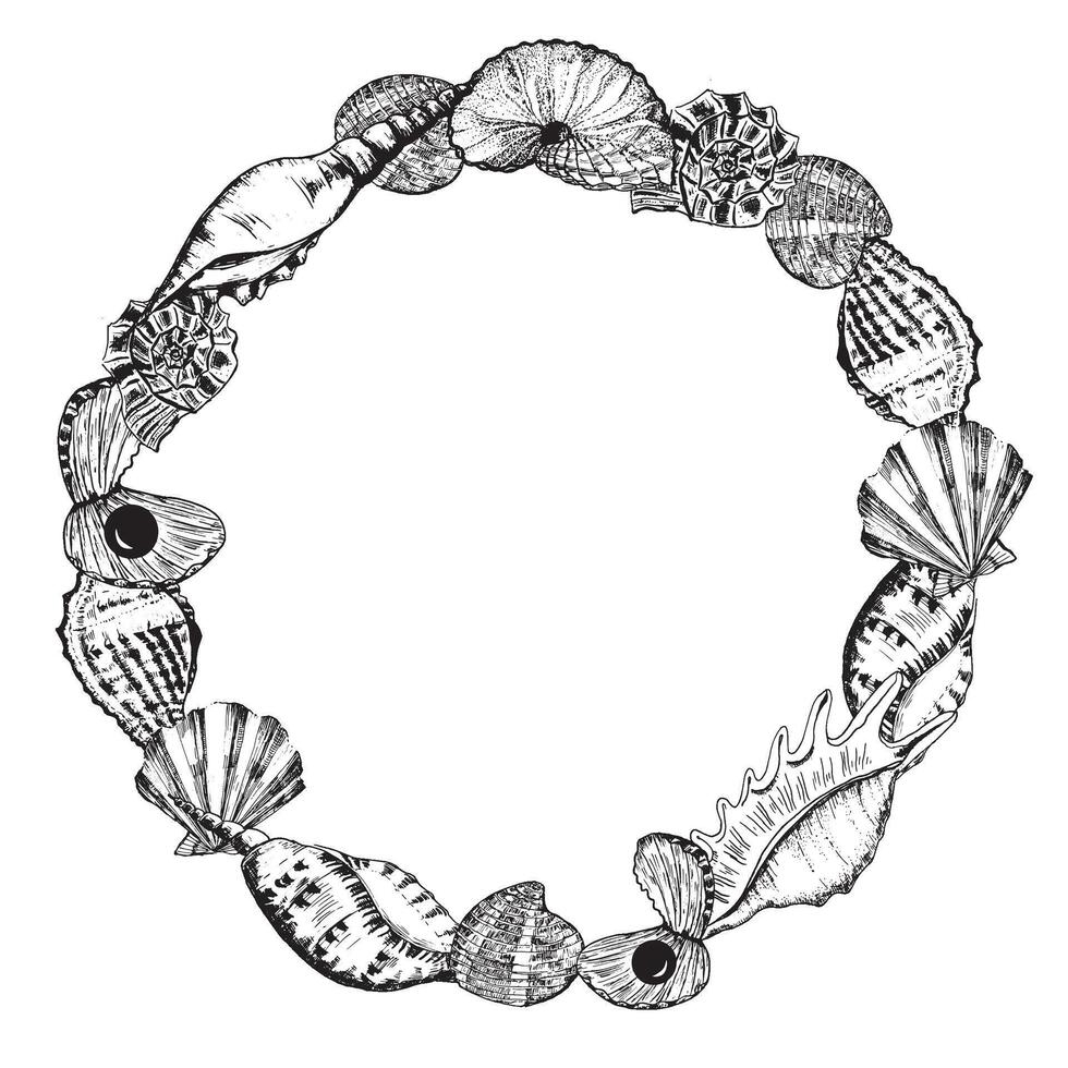Hand-drawn ink illustration. Black and white. Circle frame with different sea shells. Vector