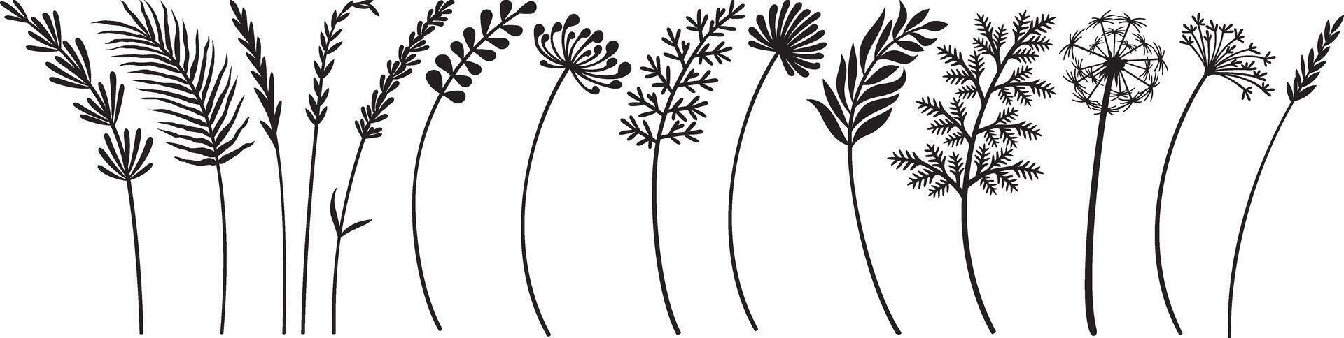 Flowers and Plants Collection Black and White. Vector Illustration.