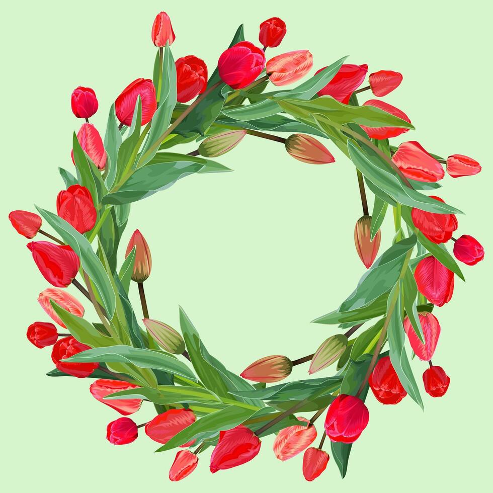 Wreath, frame of red tulips on a green background vector