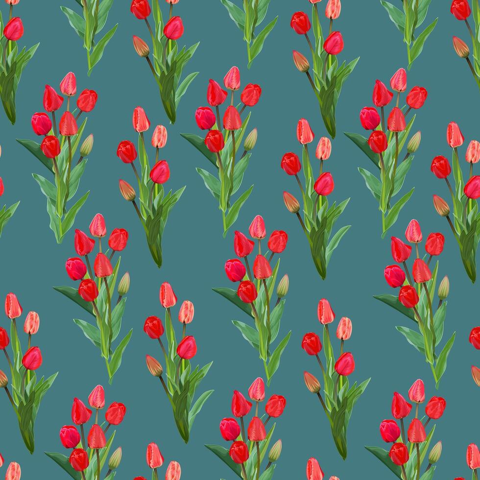 sin costura modelo con ramos de flores de rojo tulipanes en un azul antecedentes vector