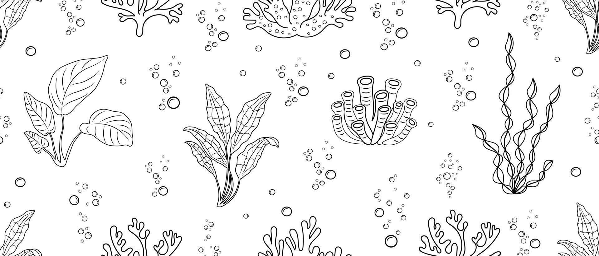 Seamless sea doodle pattern with seaweed and corals. Background with linear drawings of underwater vegetation vector