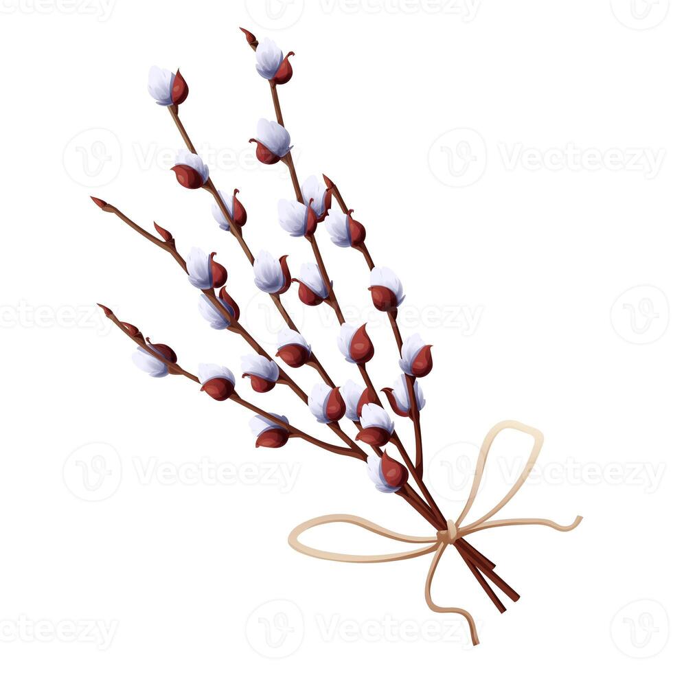 Bouquet of willow branches on an isolated background for Easter. Vector illustration for the design of cards, posters, flyers for the holiday. Spring time. photo