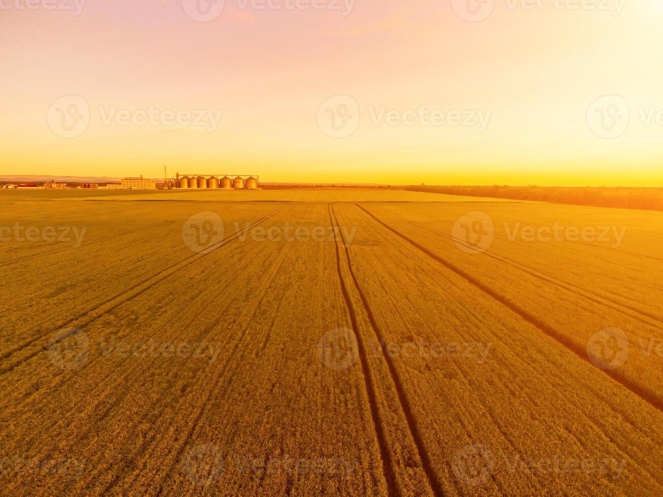Grain silos on a green field background with warm sunset light. Grain elevator. Metal grain elevator in agricultural zone. Agriculture storage for harvest. Aerial view of agricultural factory. Nobody. photo