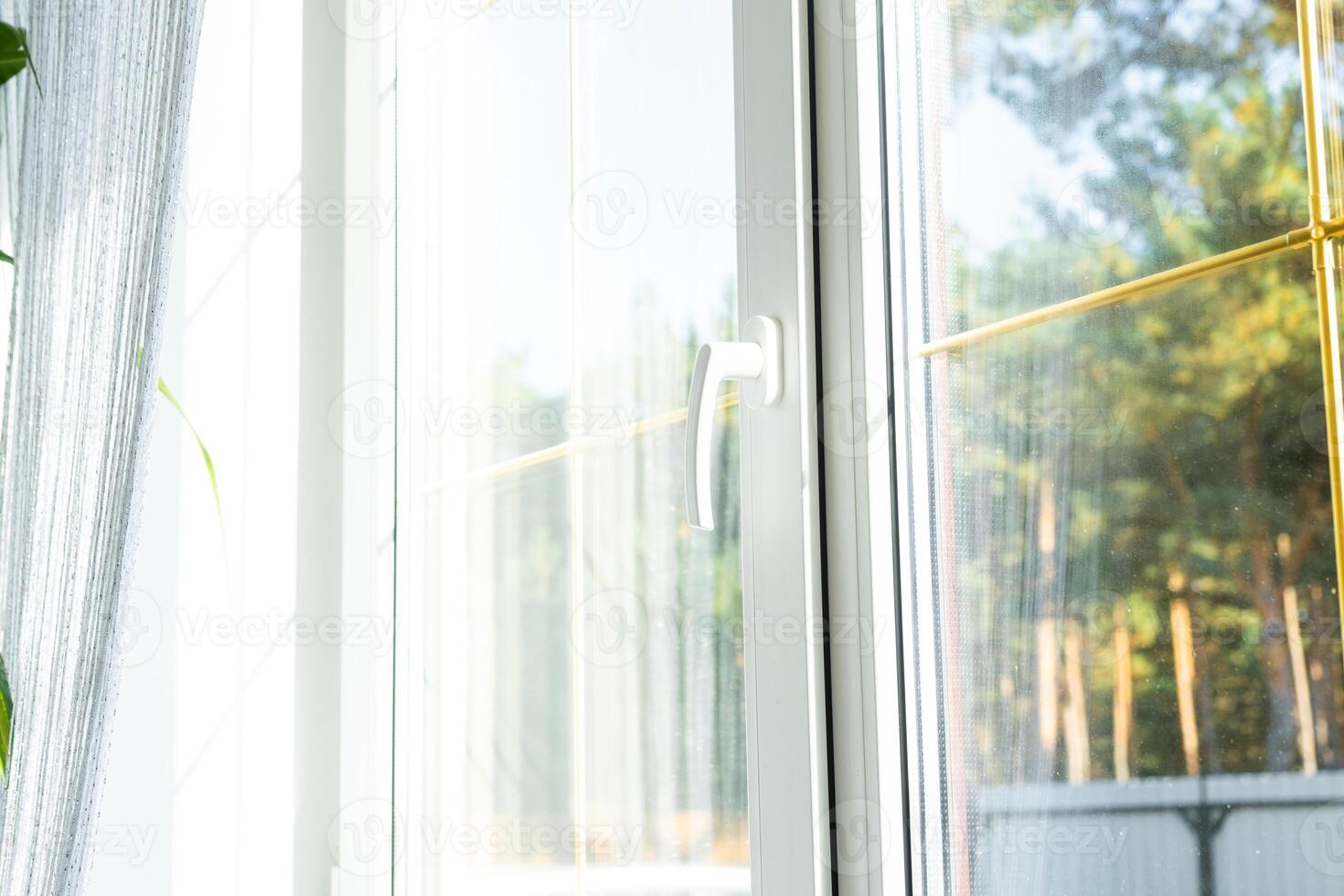 Window from inside the house plastic double-glazed window view outside to the sunny forest - interior salon with potted plants, clean glass after cleaning windows, closed window photo