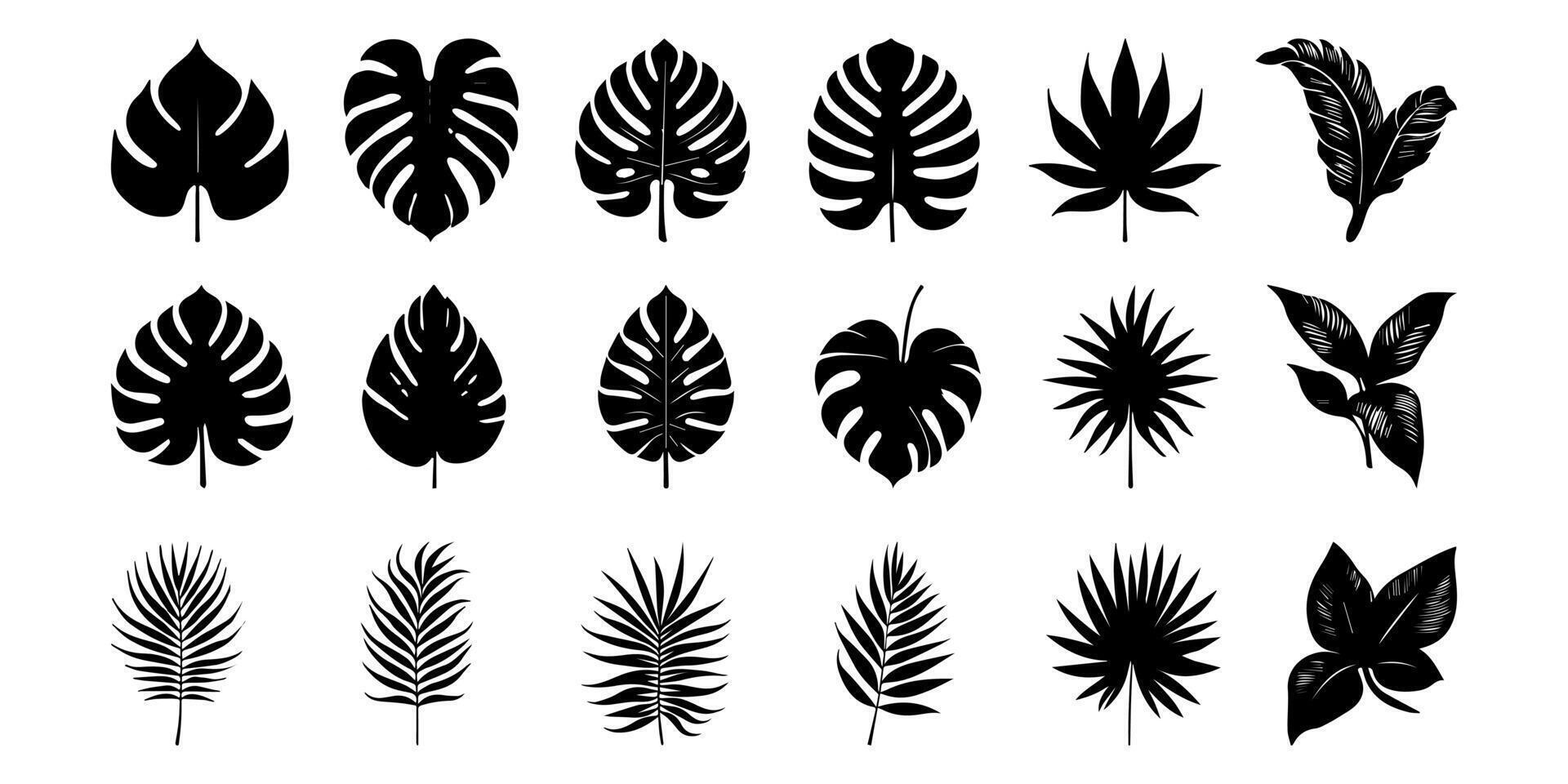 Tropical leaves vector. Set of palm leaves silhouettes isolated on white background vector