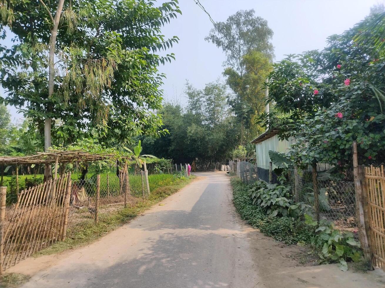 A beautiful small street in a village in Bangladesh photo