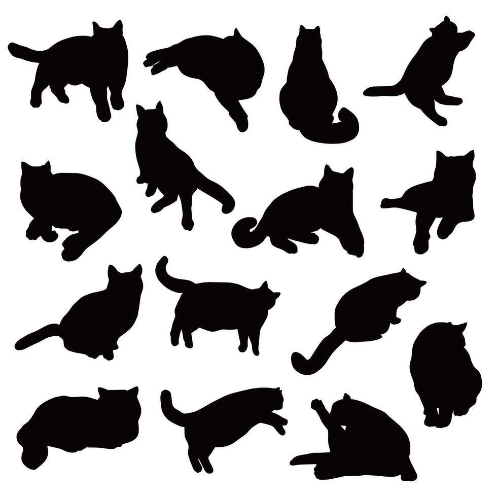 conjunto de Doméstico gato siluetas vector