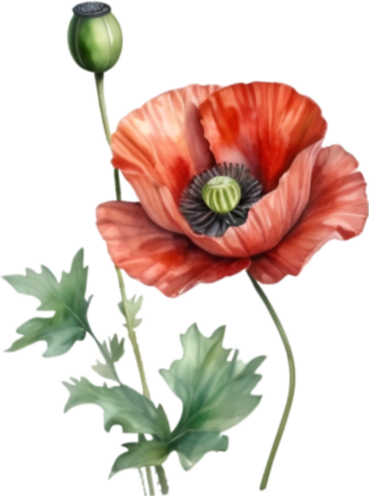 AI generated Watercolor painting of poppy flowers. png