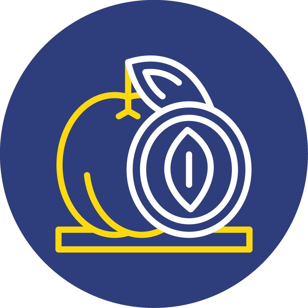 Fruits Dual Line Circle Icon vector
