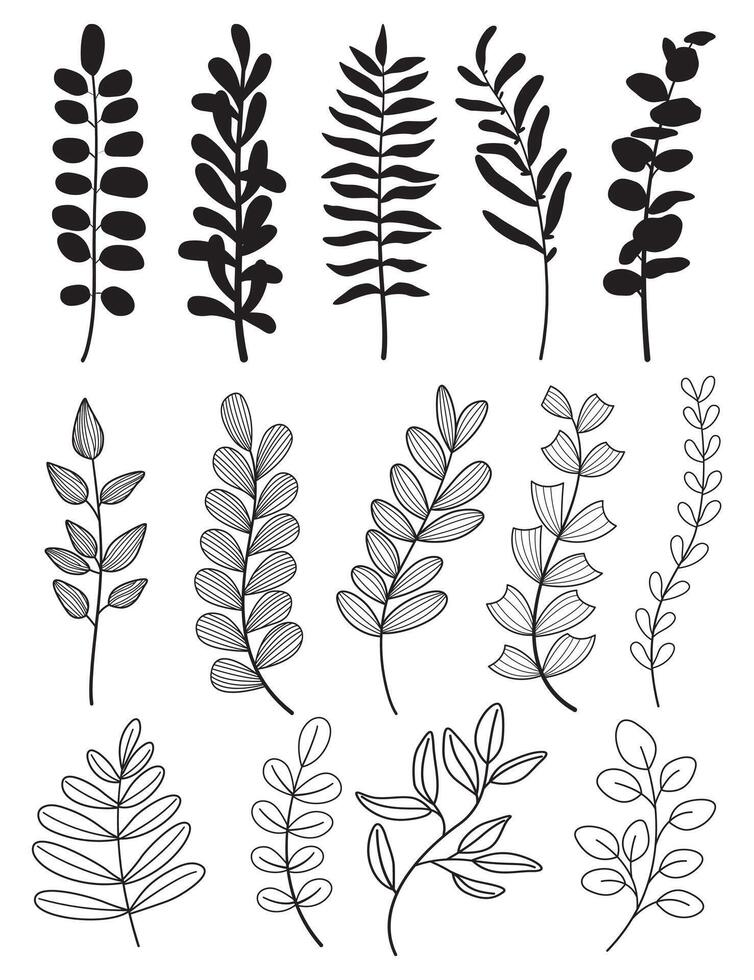 Set of leaves. Hand drawn decorative elements. Vector illustration