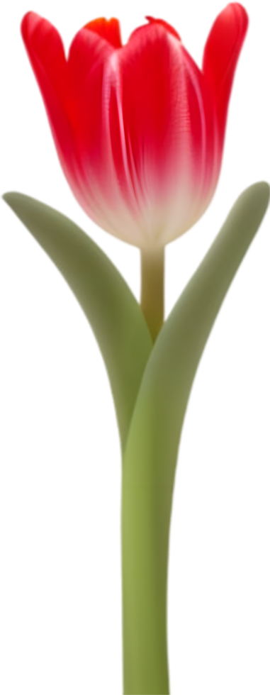 ai gegenereerd tulp clip art. een schattig tulp bloem icoon. png
