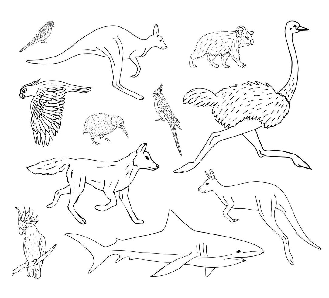 Vector set bundle of sketch Australia animal