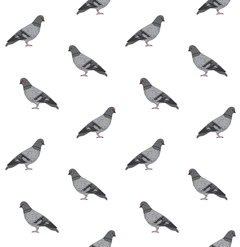 Vector seamless pattern of hand drawn pigeon