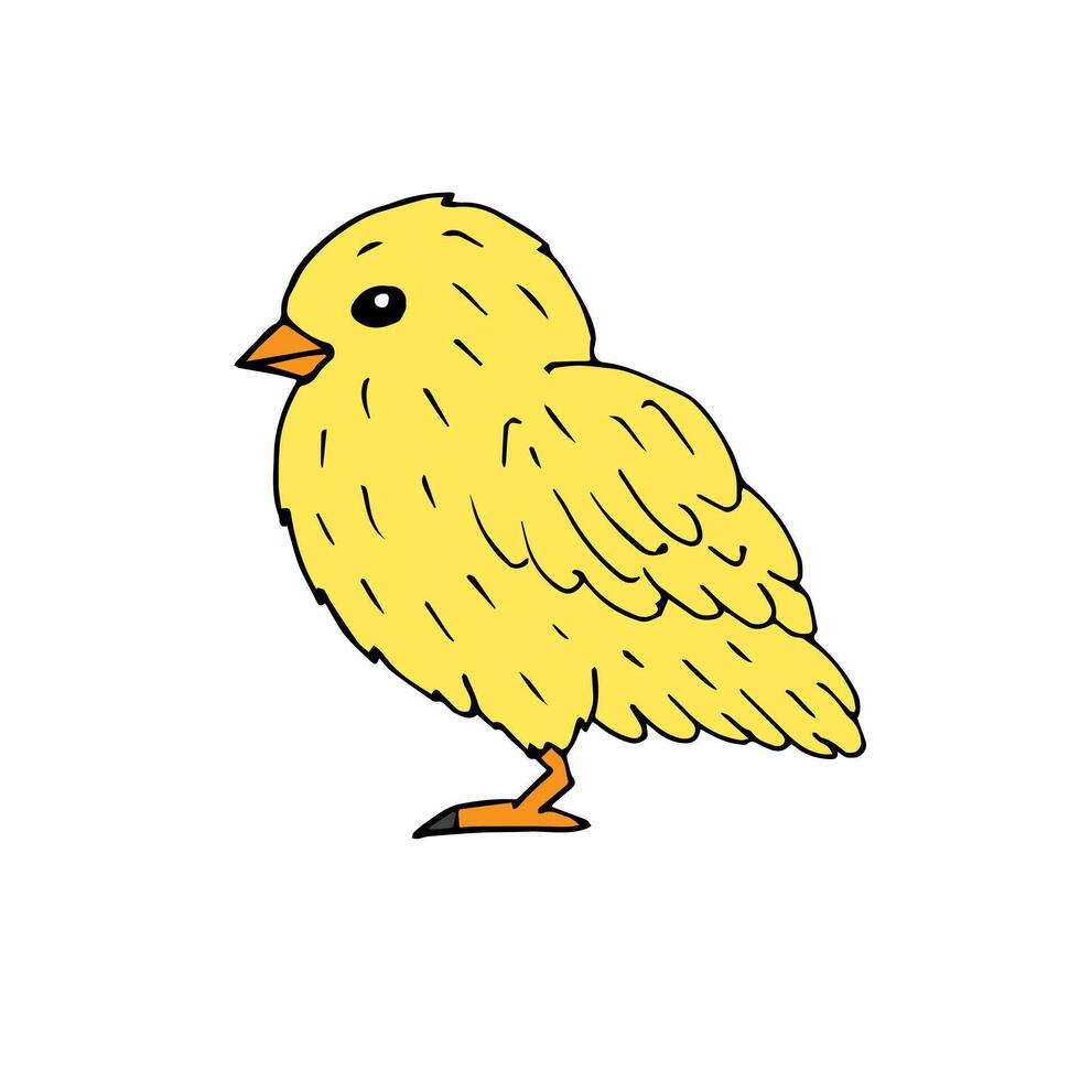 Vector hand drawn doodle sketch baby chick