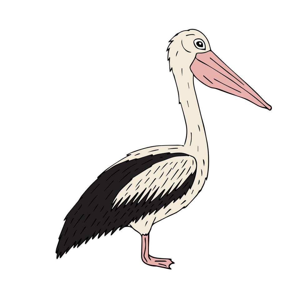 Vector hand drawn doodle sketch pelican