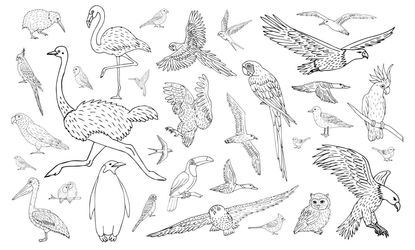 Vector set of different hand drawn wild bird