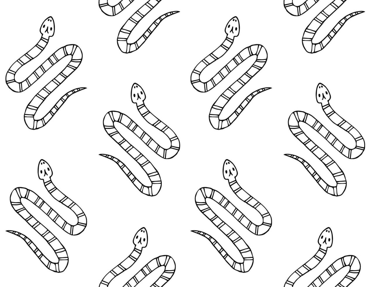 Vector seamless pattern of hand drawn snake