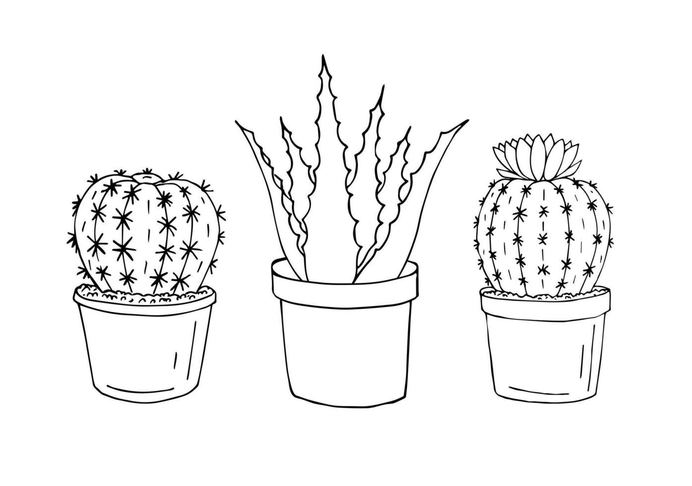 Vector hand drawn doodle set of cactus and aloe