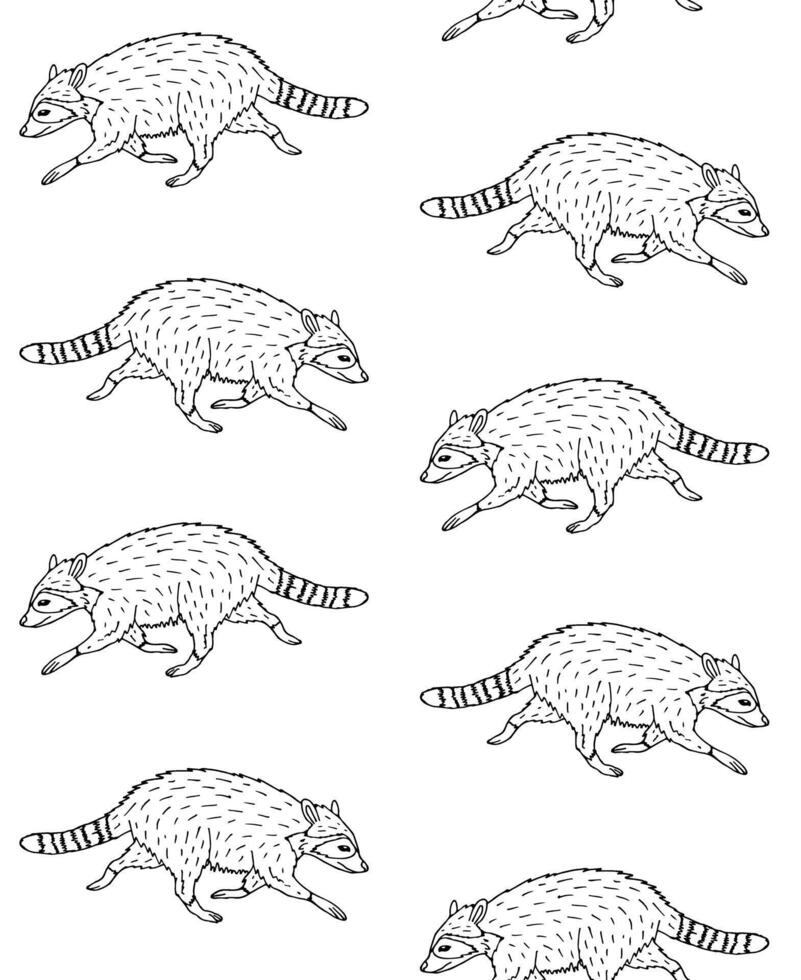 vector sin costura modelo de garabatear bosquejo mapache
