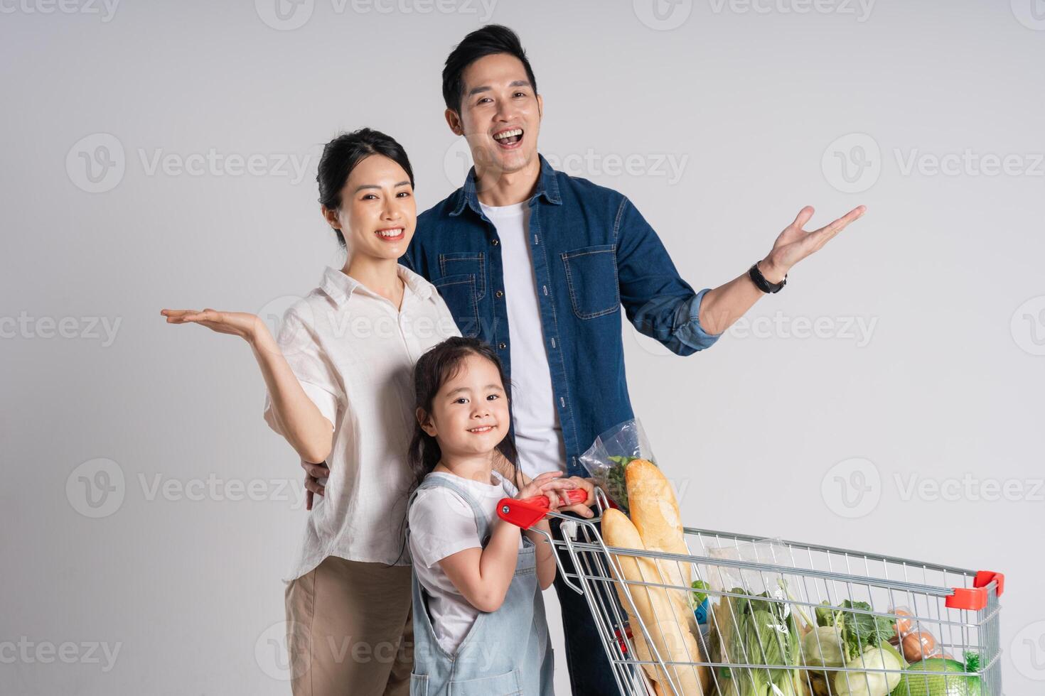 imagen de asiático familia emprendedor un supermercado carro mientras compras, aislado en blanco antecedentes foto