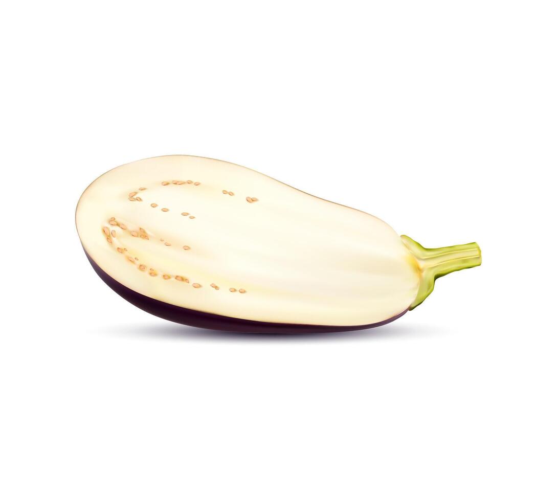 Realistic raw isolated eggplant vegetable half vector