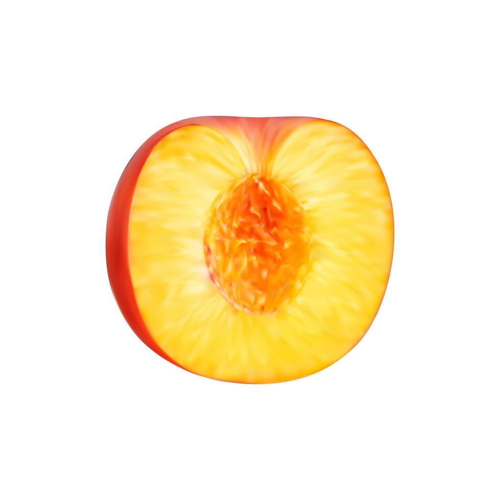 Realistic ripe peach fruit, half cut without seed vector