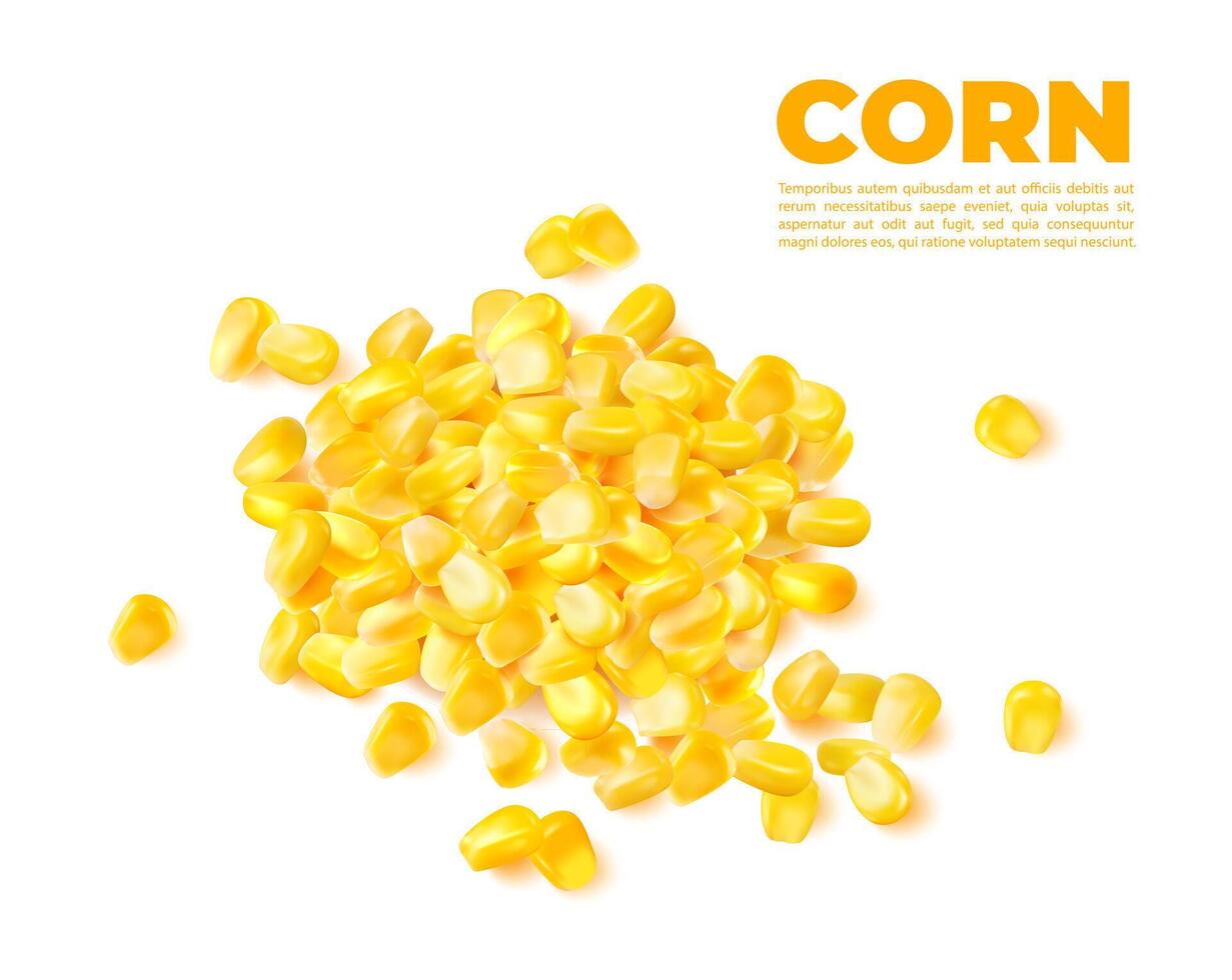 Realistic sweet boiled corn kernels pile stack vector