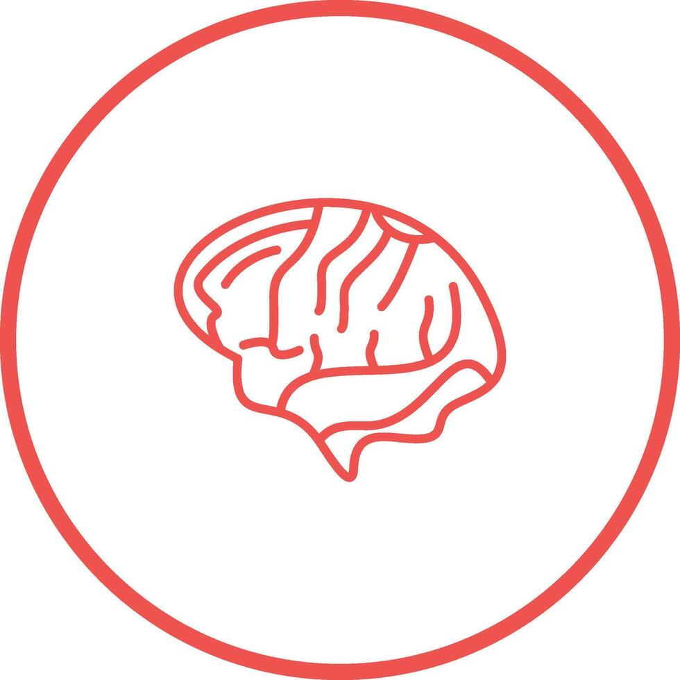 Brain Vector Icon