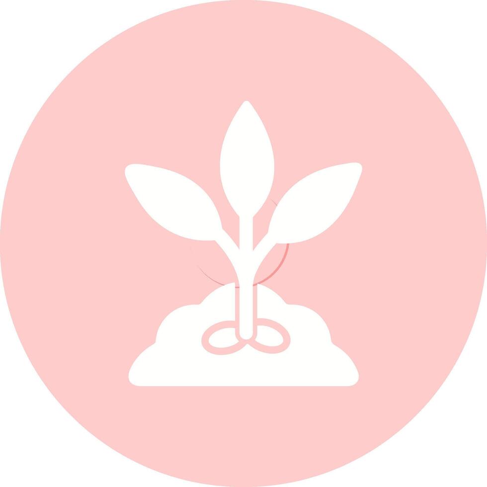 Seed Vector Icon