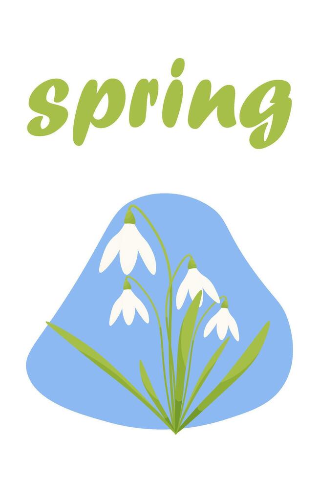 Vector illustration of snowdrops and the lettering Spring. The first spring flowers.