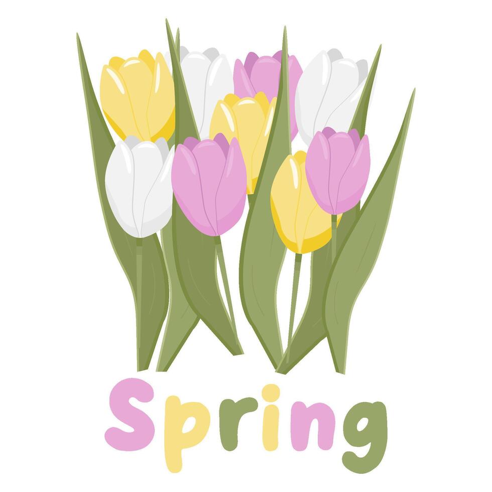 un ramo de flores de tulipanes Hola primavera. plano vector ilustración