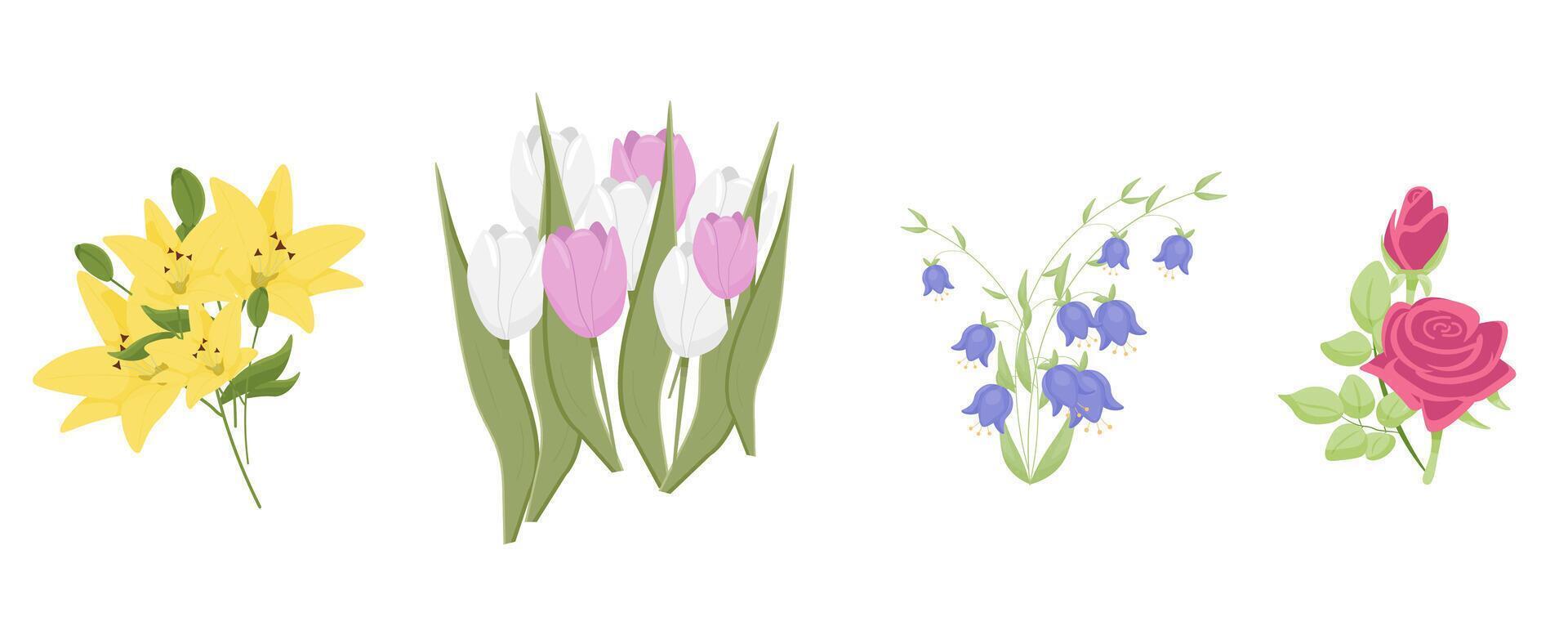 set of flowers. Roses, lilies, tulips, bluebells. vector garden illustrations.