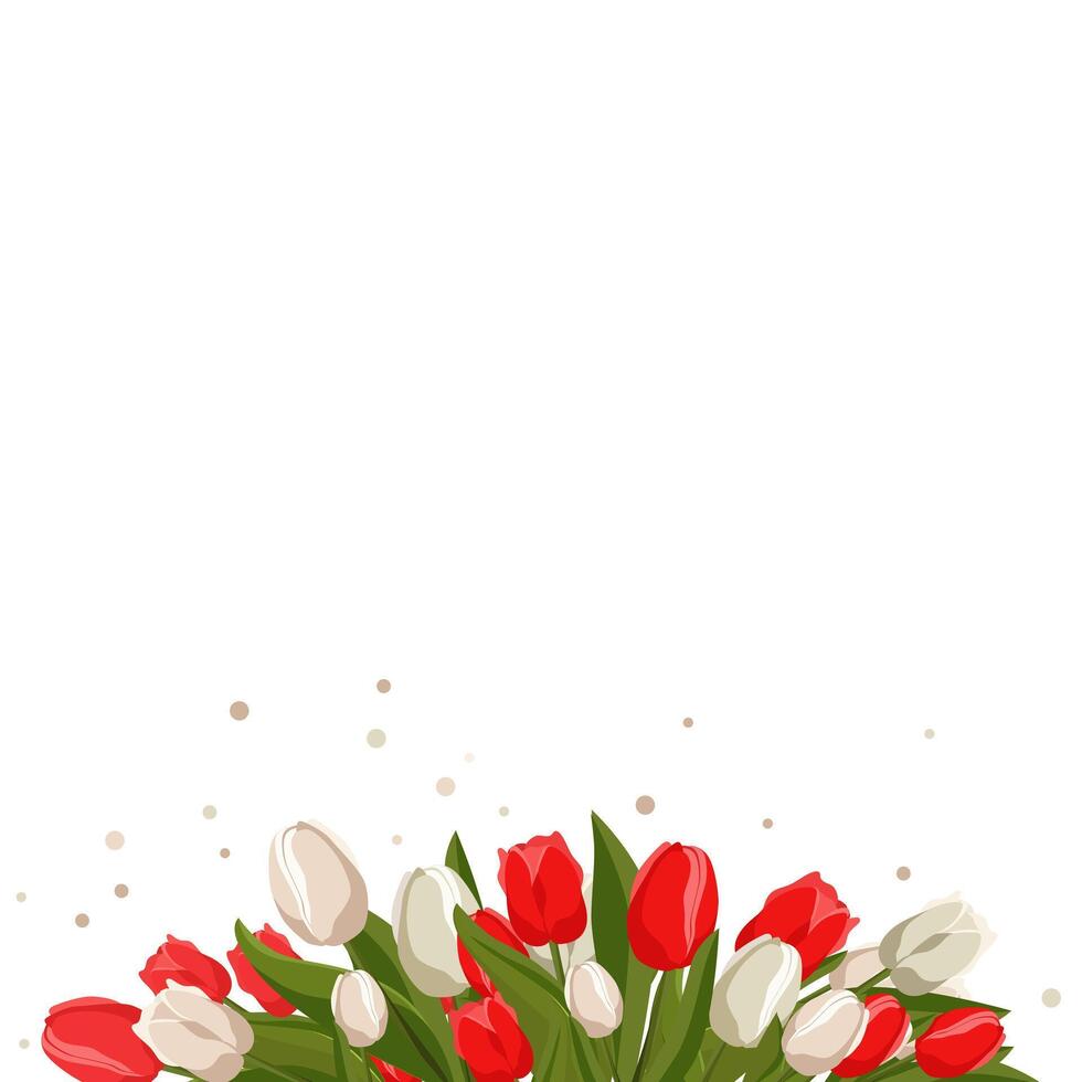 Spring banner with white red tulips for words and text. Vector background template with flowers for design, greeting card, frame, board, flyer, sale, poster