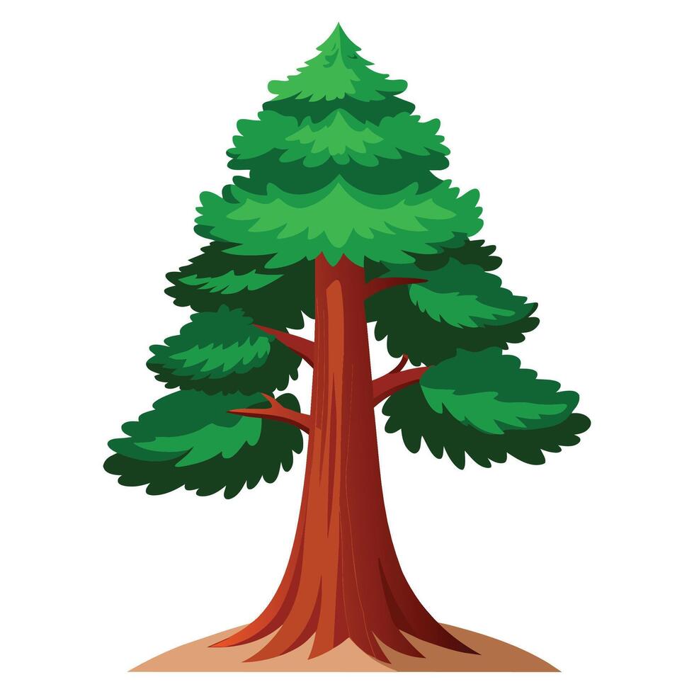 Redwood tree Isolated flat vector illustration