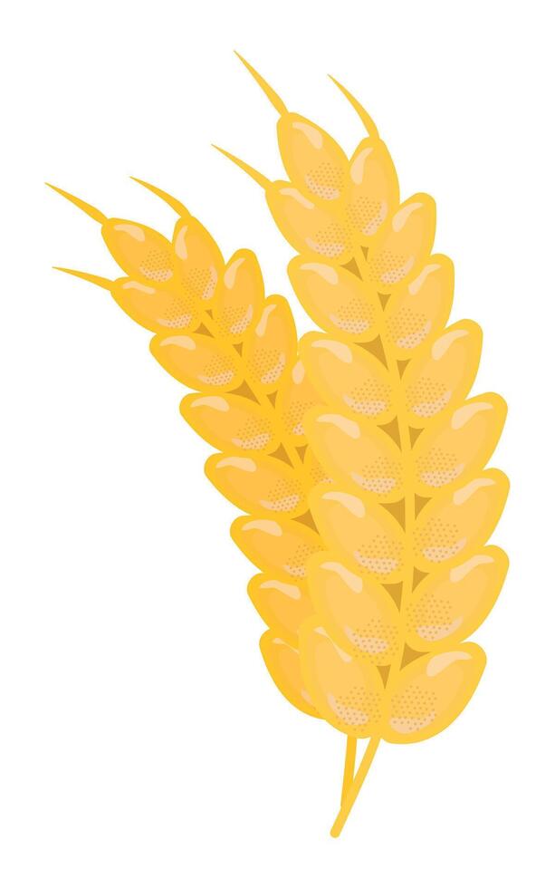 dos orejas de trigo, grano cosecha, amarillo vector ilustración de gluten producto