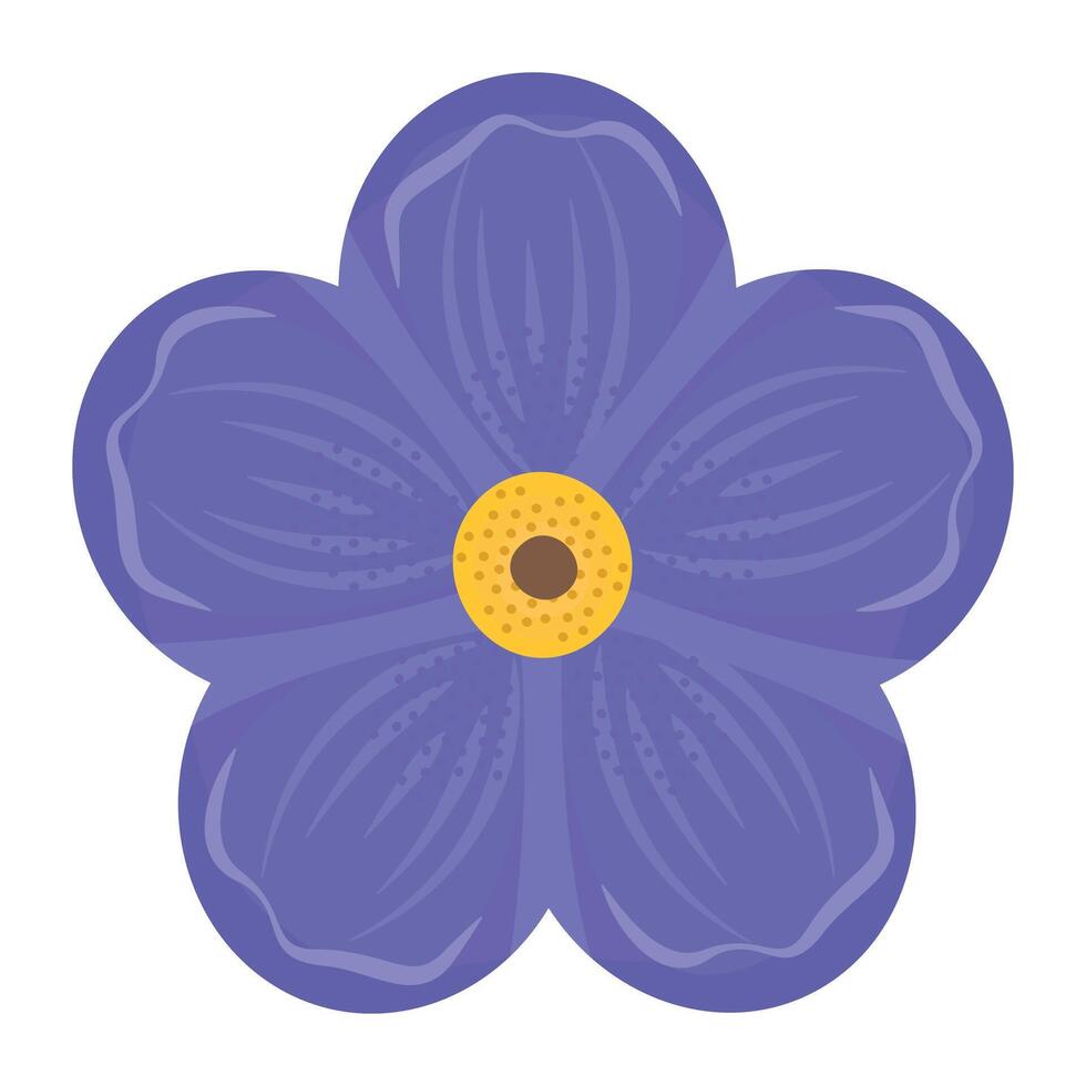 Single forget me not flower, field wildflower in blue and yellow colors vector