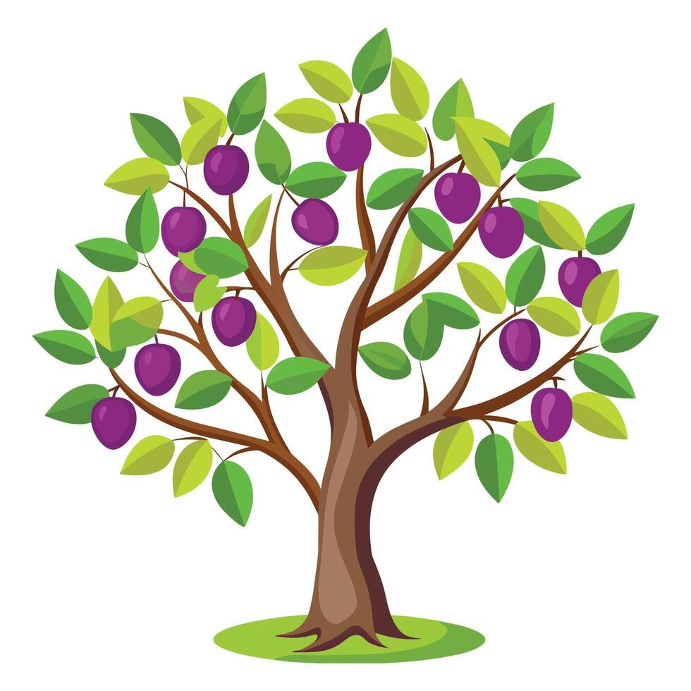 Plum tree Isolated flat vector illustration