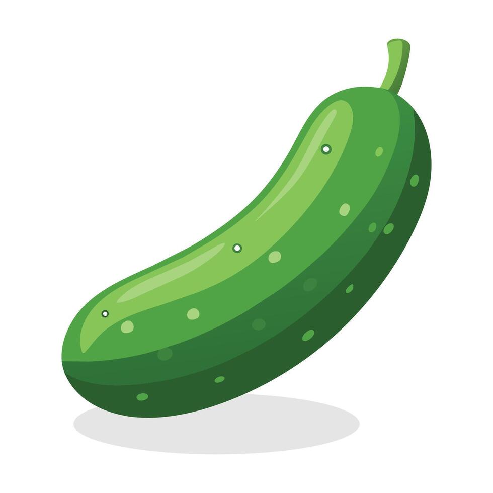 Pepino plano vector ilustración en blanco antecedentes