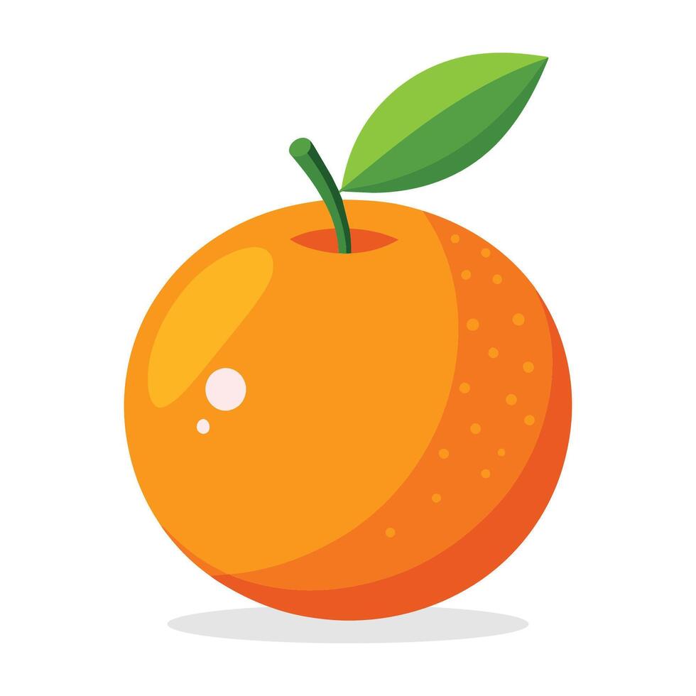 Tangerine flat vector illustration on white background.