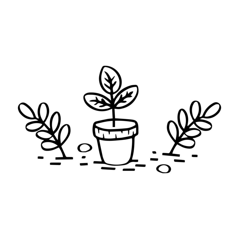 Plant with branches in a pot. Simple drawing. New normal concept. vector