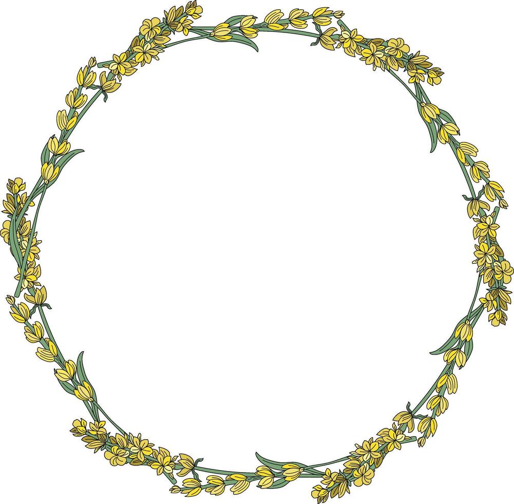 beautiful yellow flower bouquets arranged in a circle vector