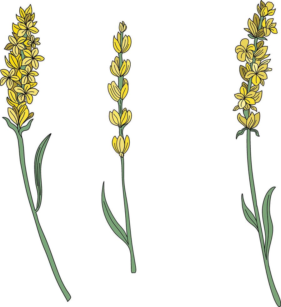 beautiful yellow flower elements, yellow color flowers vector