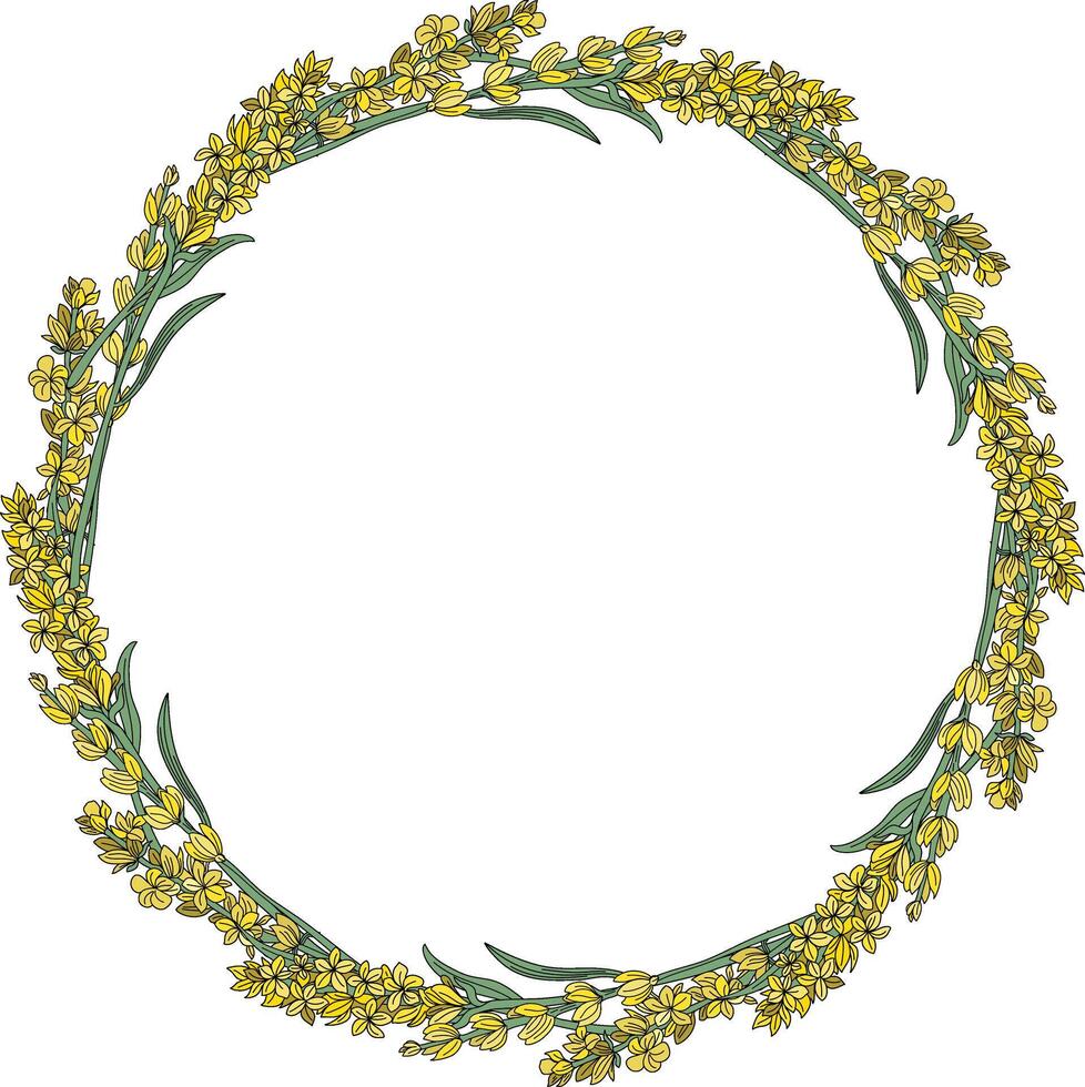 beautiful yellow flower bouquets arranged in a circle vector
