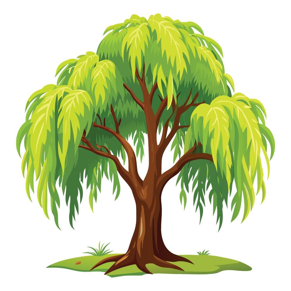 sauce árbol aislado plano vector ilustración