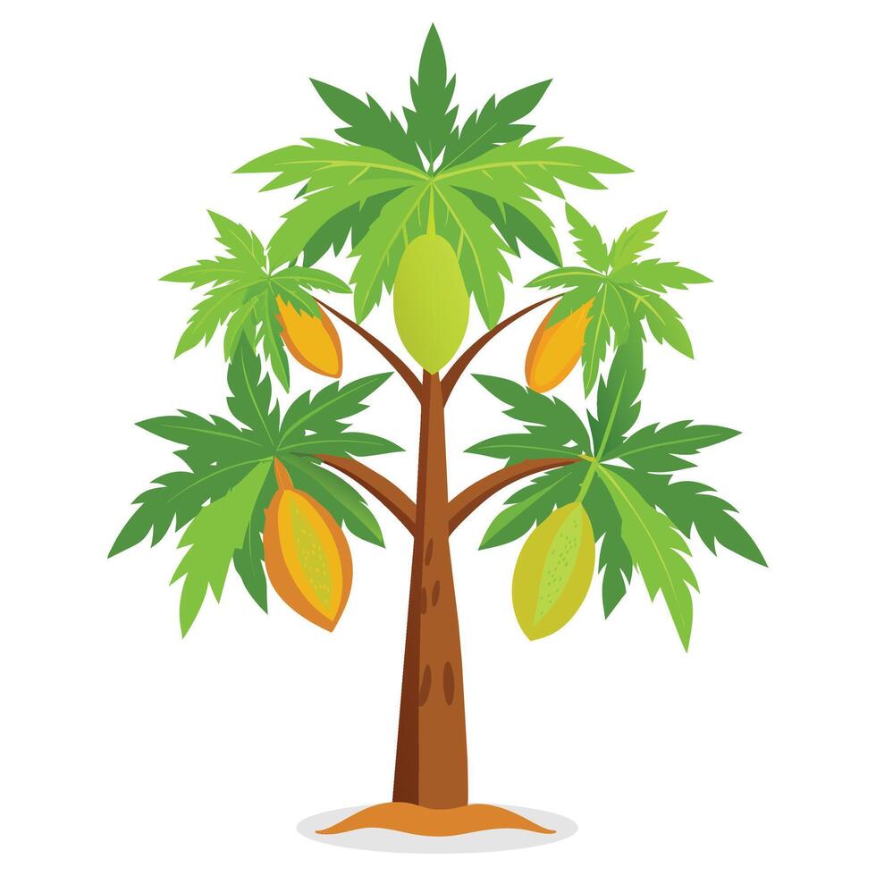 papaya árbol aislado plano vector ilustración