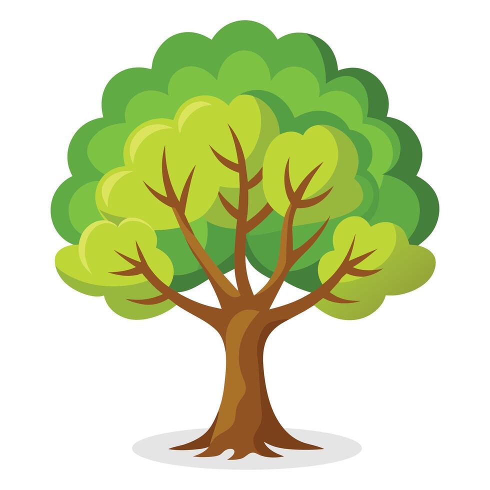 Walnut tree Isolated flat vector illustration