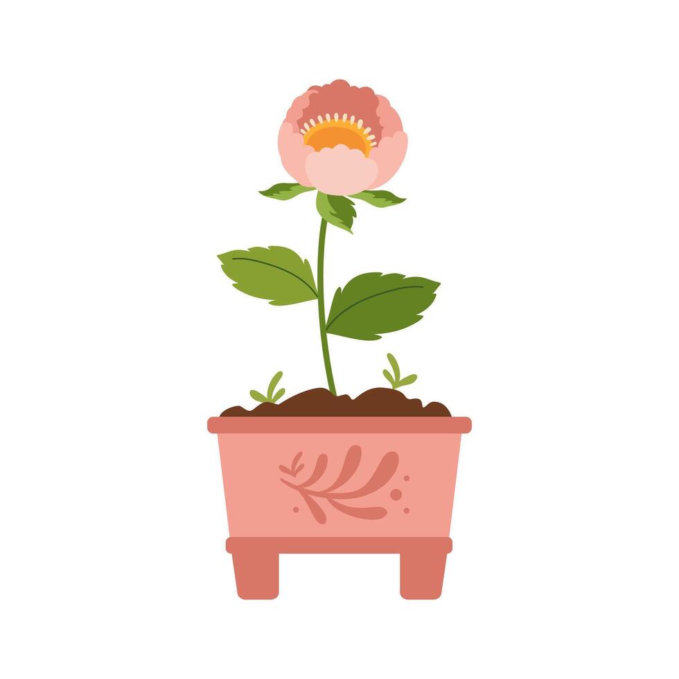 Decorative green houseplant in pot. Home decor and urban jungle. Pink flower in pot. Spring or summer decoration. Hobbies, trendy home decor, taking care of plants. Green plants. Vector illustration.